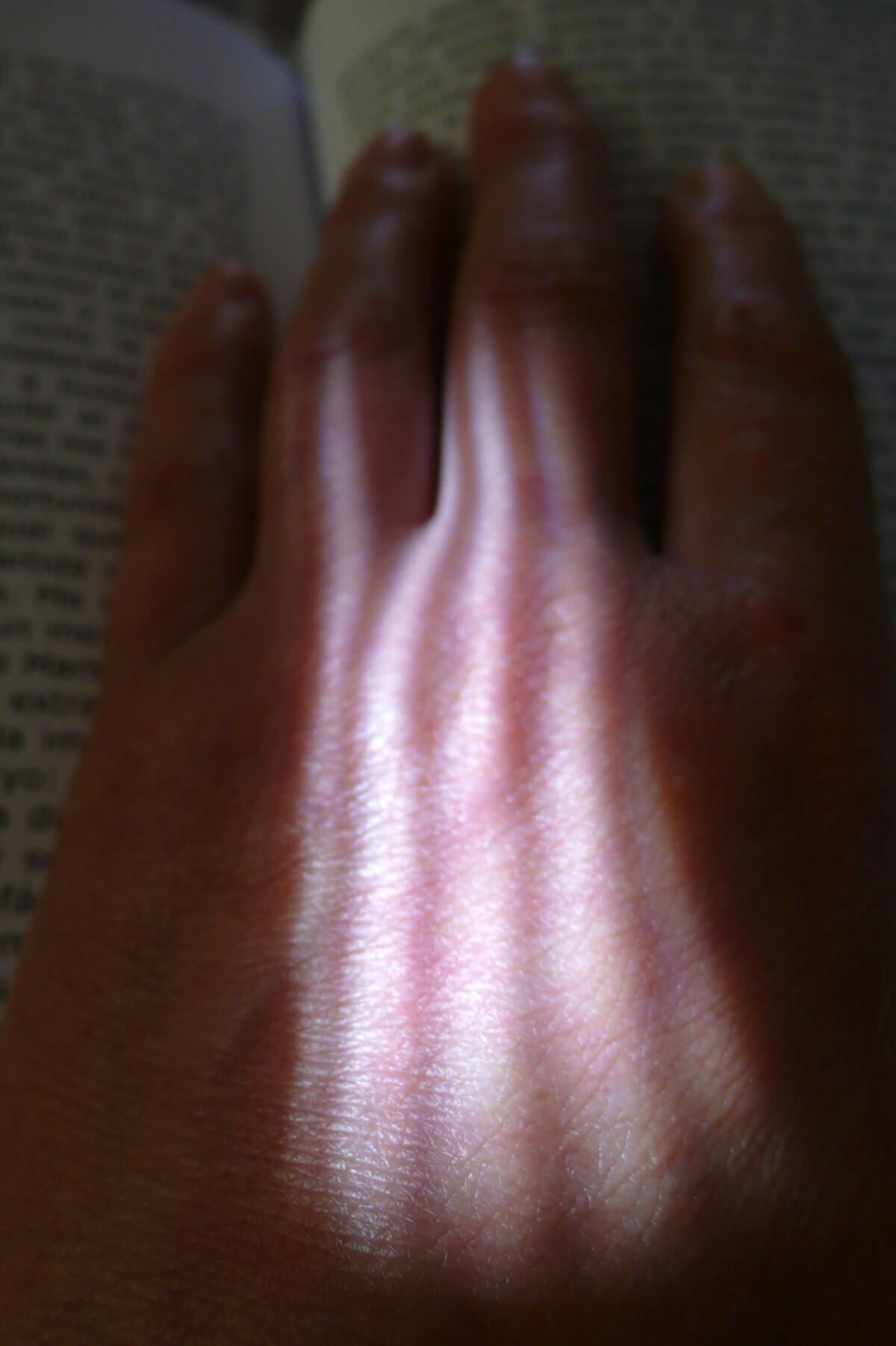 untitled (hand), photography, 2013

