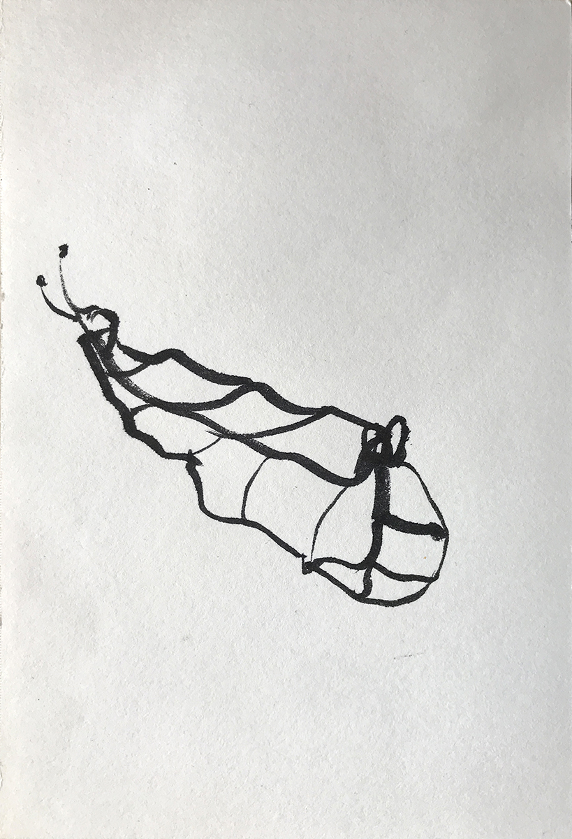 Untitled (pupa), 2020, ink on paper, 15 x 10 cm